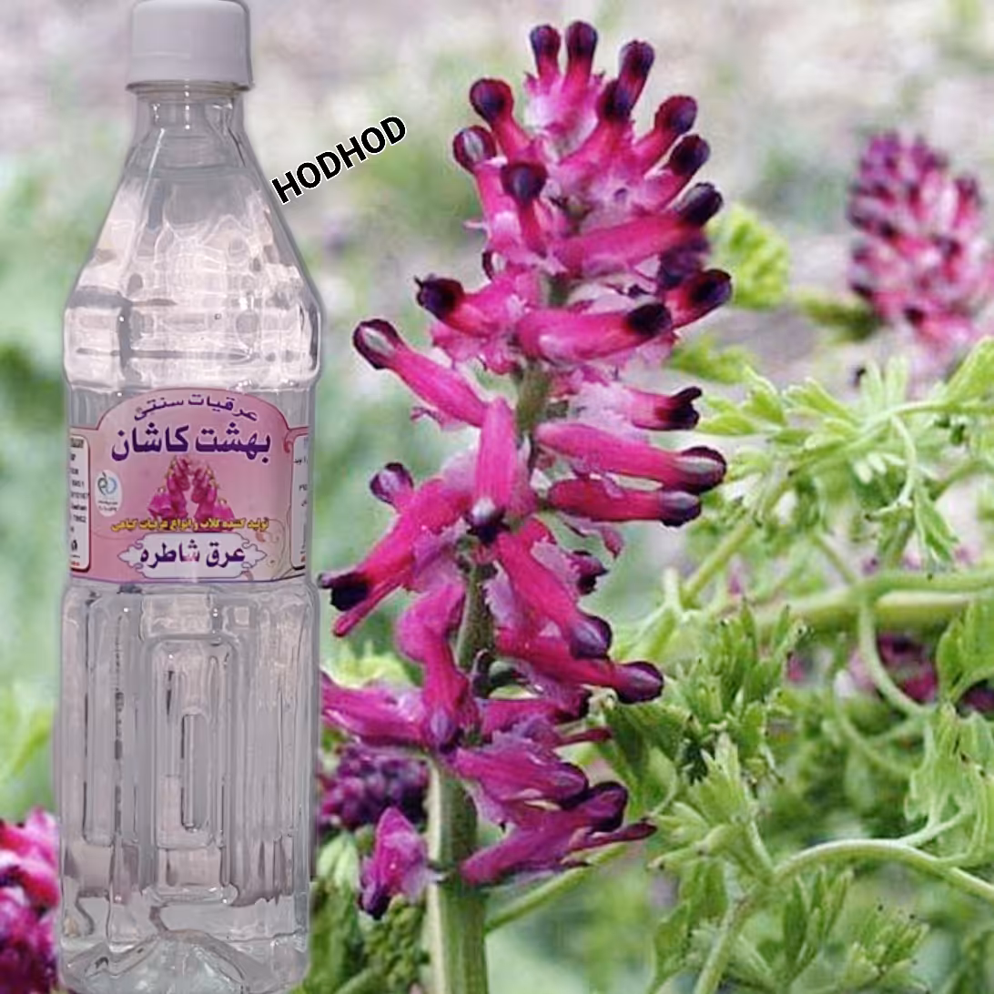 عرق شاطره (شاتره )                                                                            (100 درصد خالص)