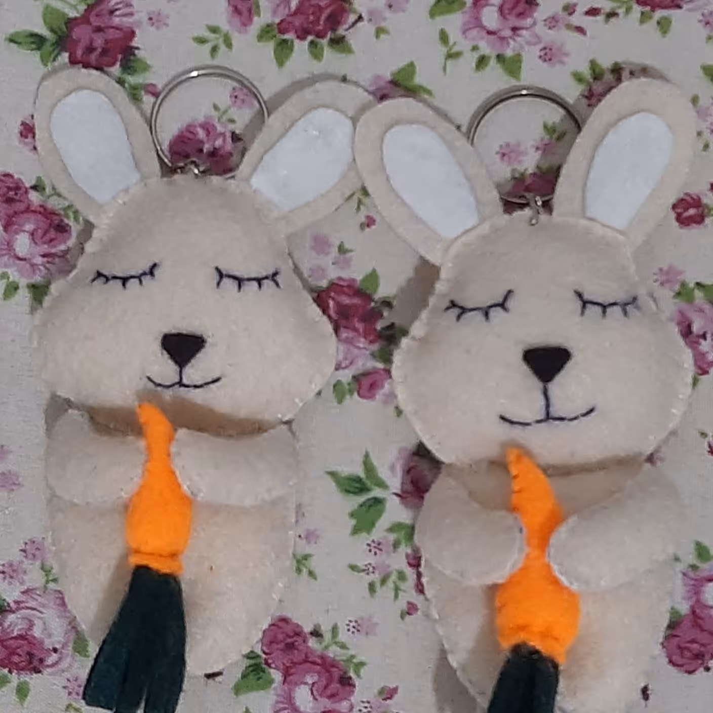 خرگوش نما د سال