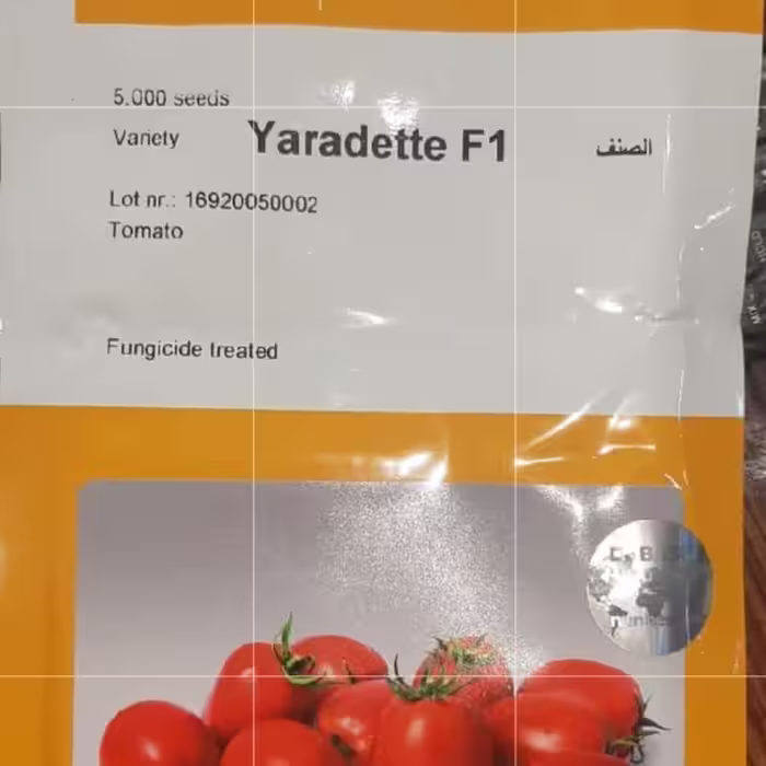 بذر گوجه فرنگی یارادت