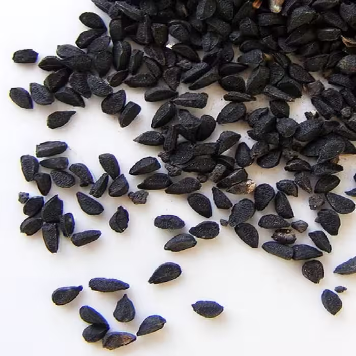 بذر پیازچه  100 گرمی 