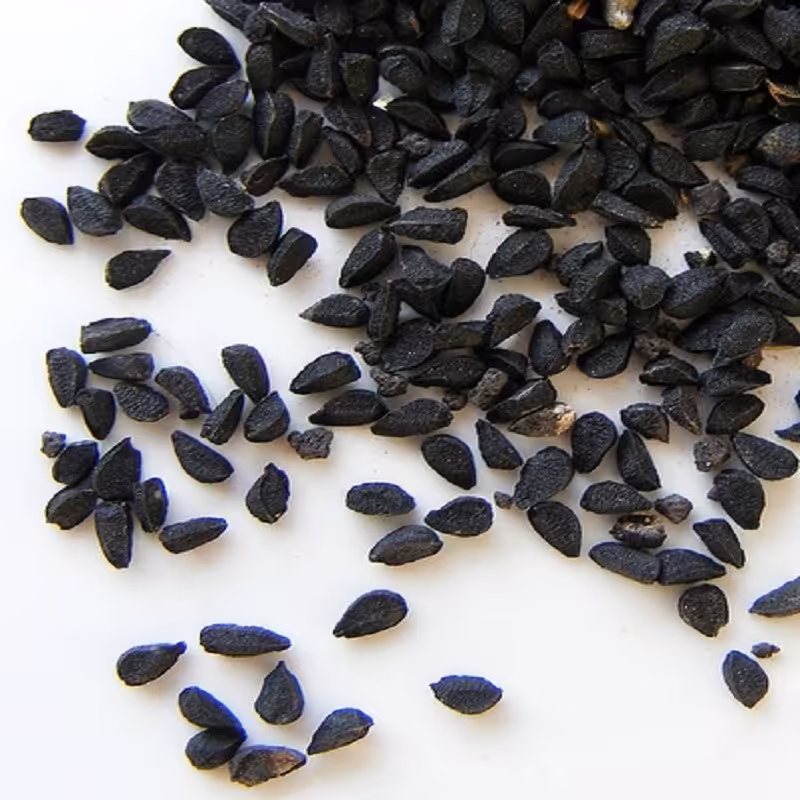 بذر پیازچه  100 گرمی 
