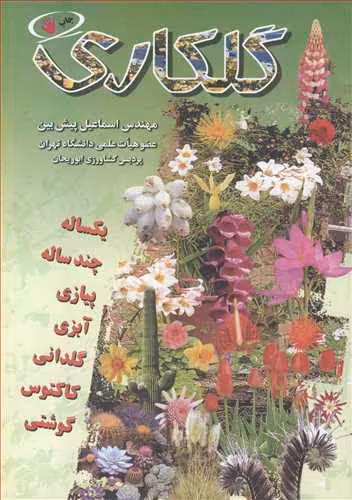 کتاب گلکاری نشر آییژ