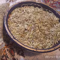 رازیانه 100گرمی رادمهر