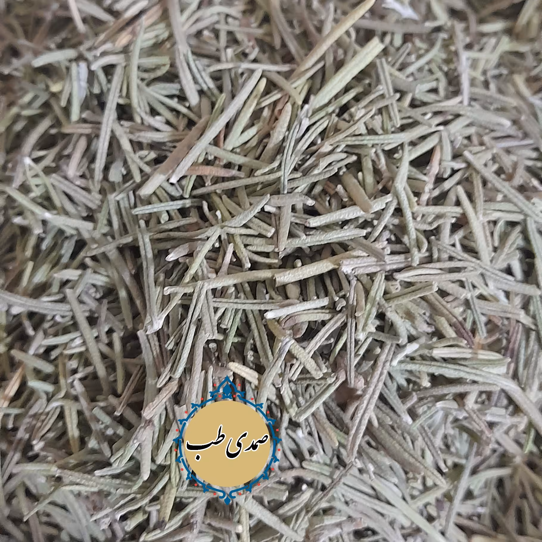 رزماری اکلیل کوهی 100گرم