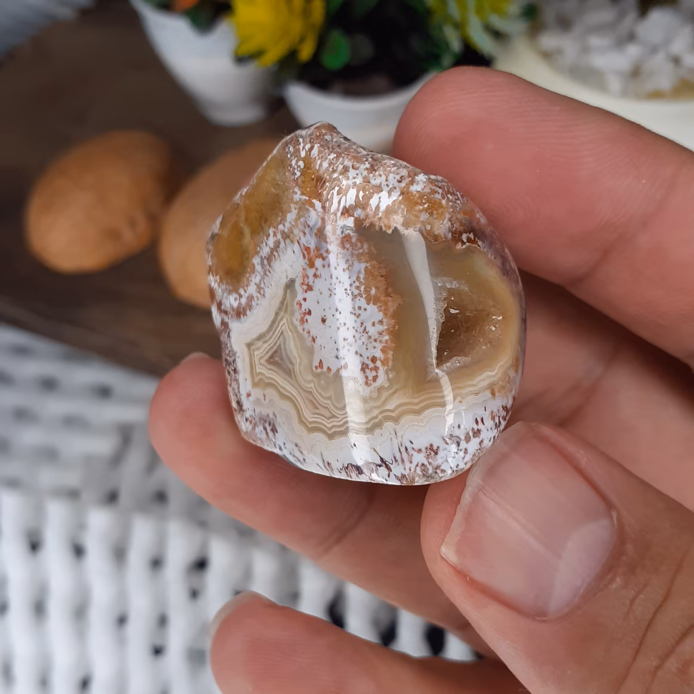 سنگ راف کلکسیونی عقیق شجری دارای ژئود 