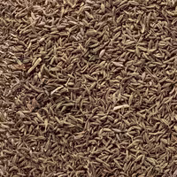 زیره سبز  100 گرمی شبکه طب ( عمده و خرده )