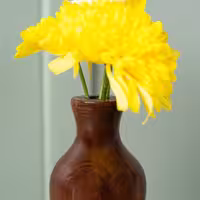 گلدان چوبی شاینا