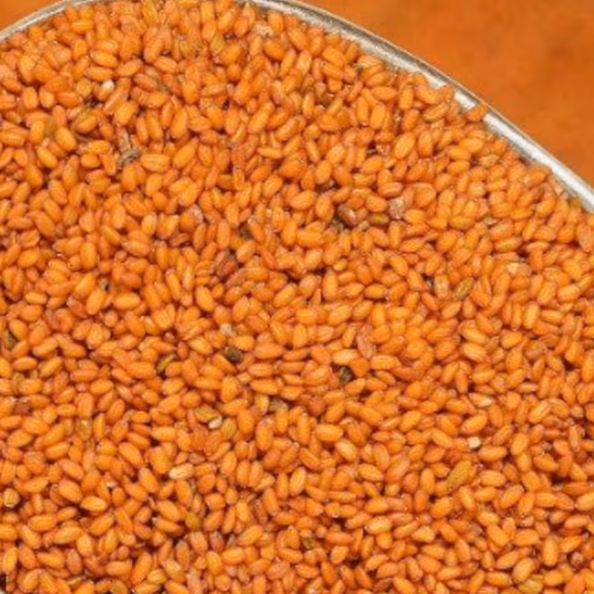 خاکشیر اعلا