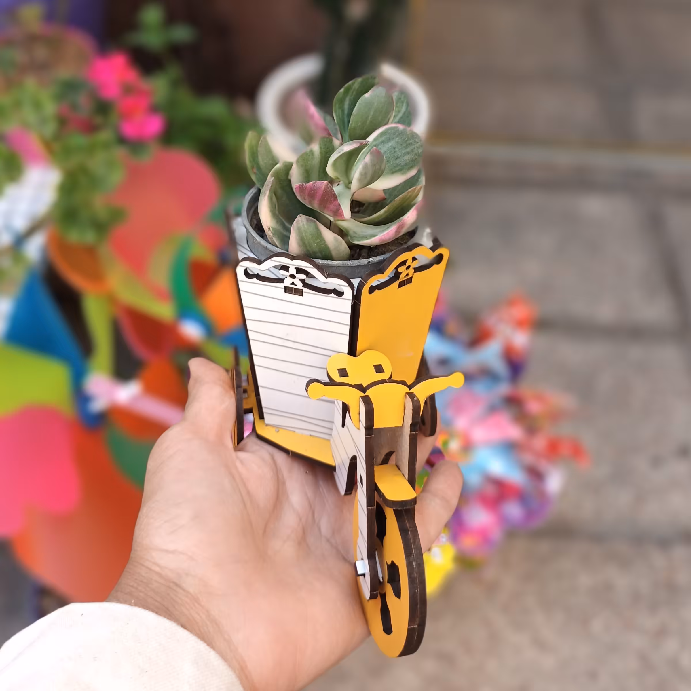 جا گلدانی چوبی مناسب برای گلهای مینیاتوری کاکتوس ، در طرح های متفاوت مانند گاری ، اتوبوس ، ماشین کلاسیک، رادیو و  دوربین