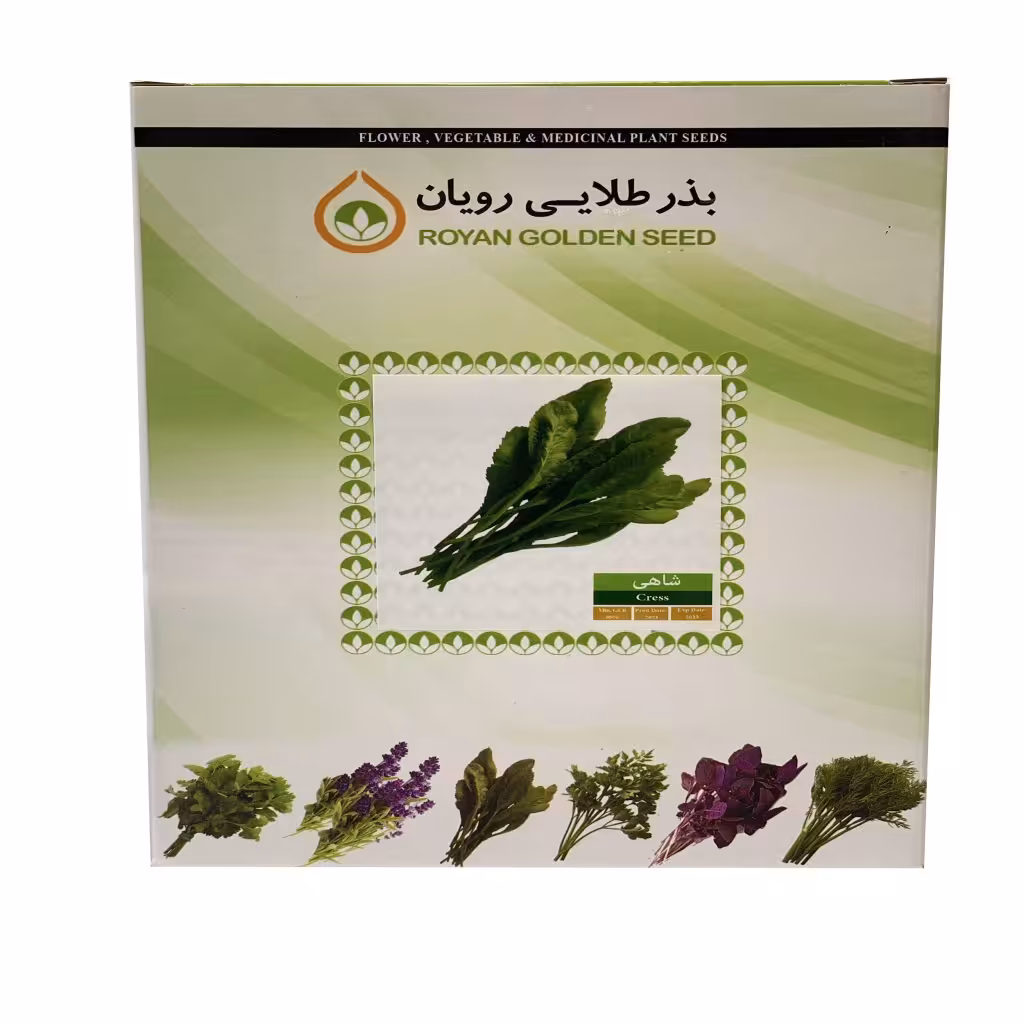 بذر شاهی 1 کیلویی - بذر طلایی رویان