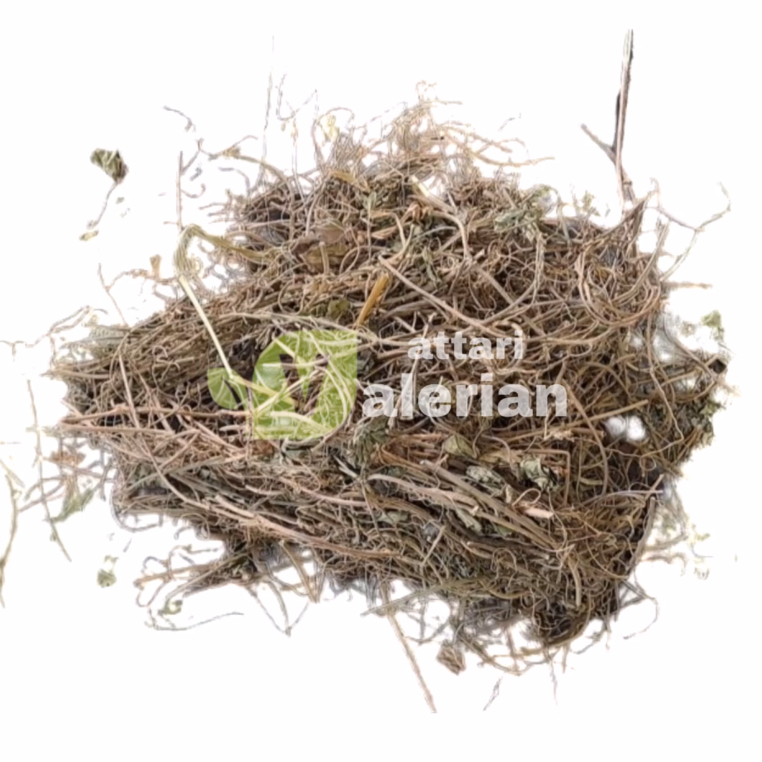 برهمی - براهمی خارجی