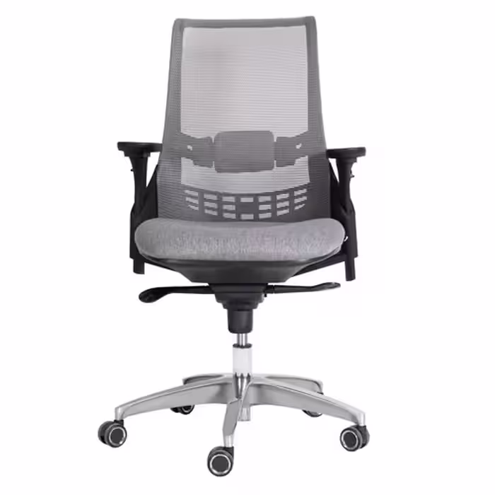 صندلی کارشناسی X81sp لیو