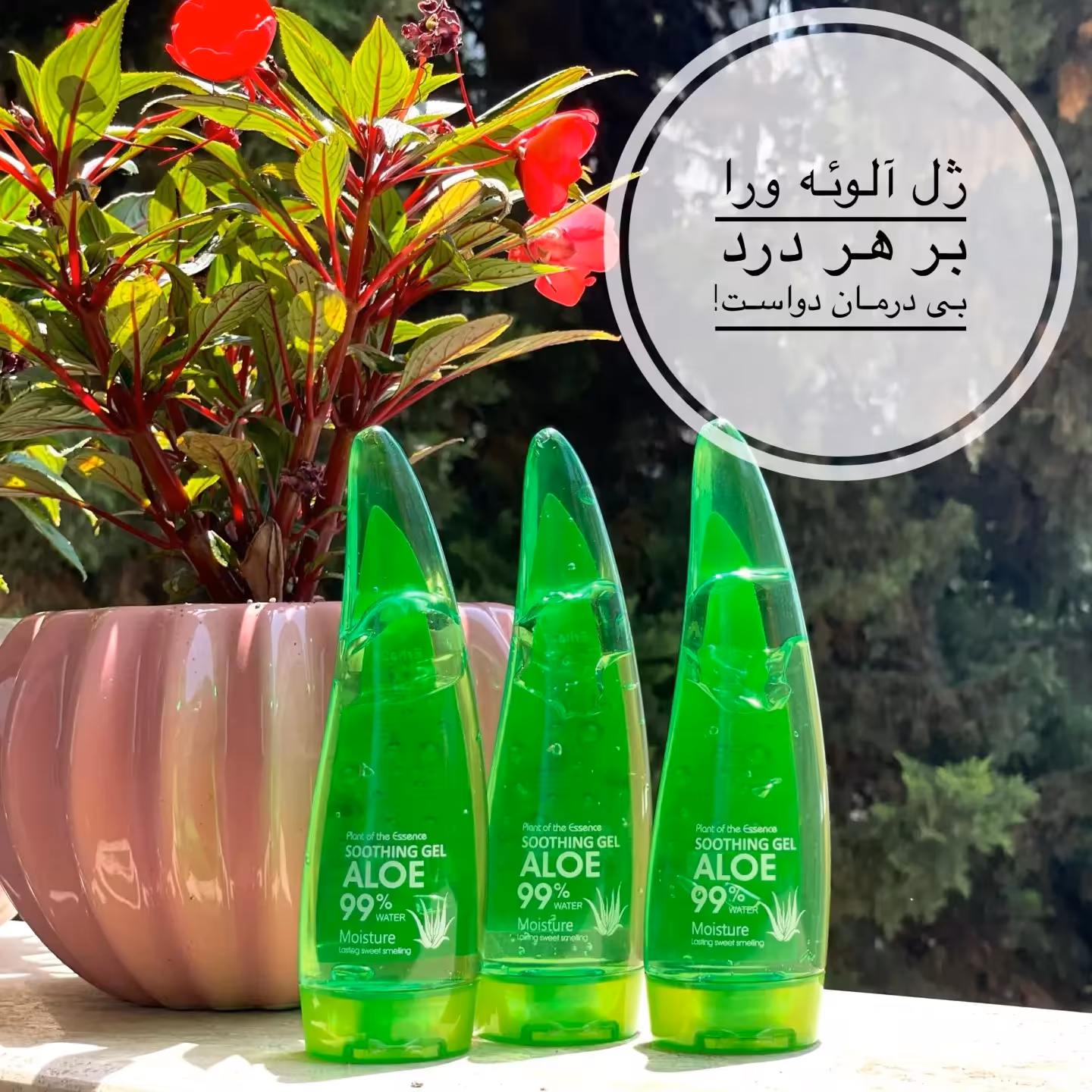 ژل آبرسان شاخکی آلوئه ورا 