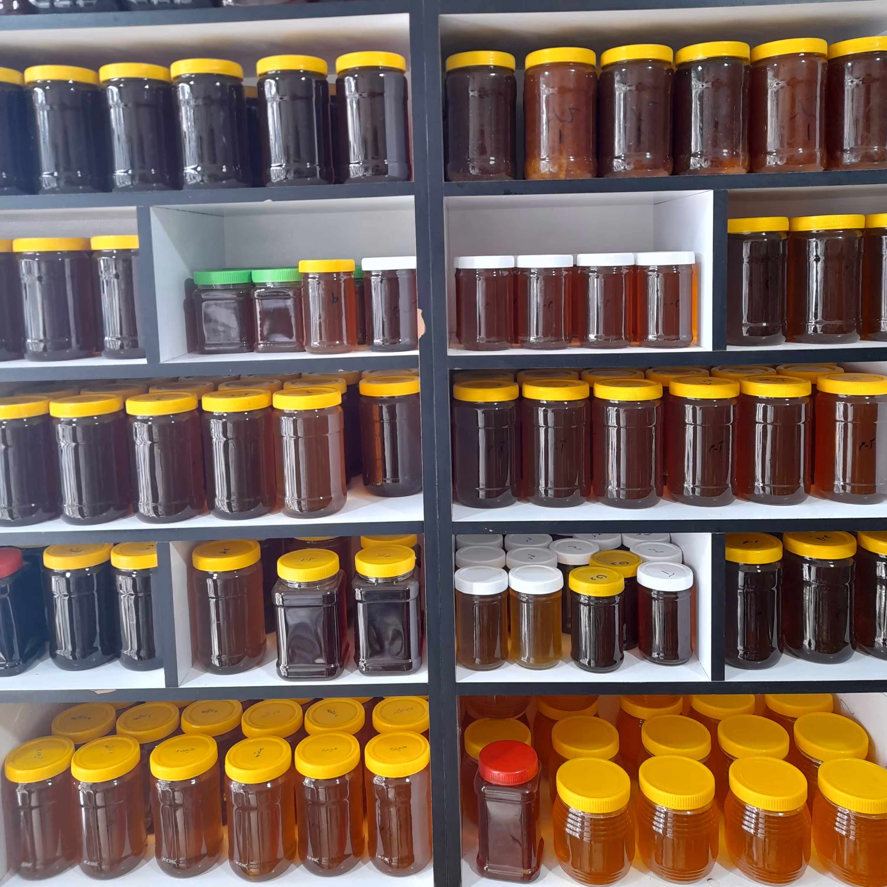 عسل یونجه(300گرمی)