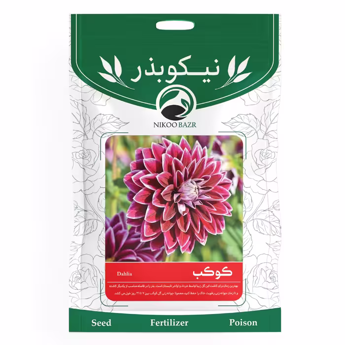 بذر گل کوکب نیکوبذر