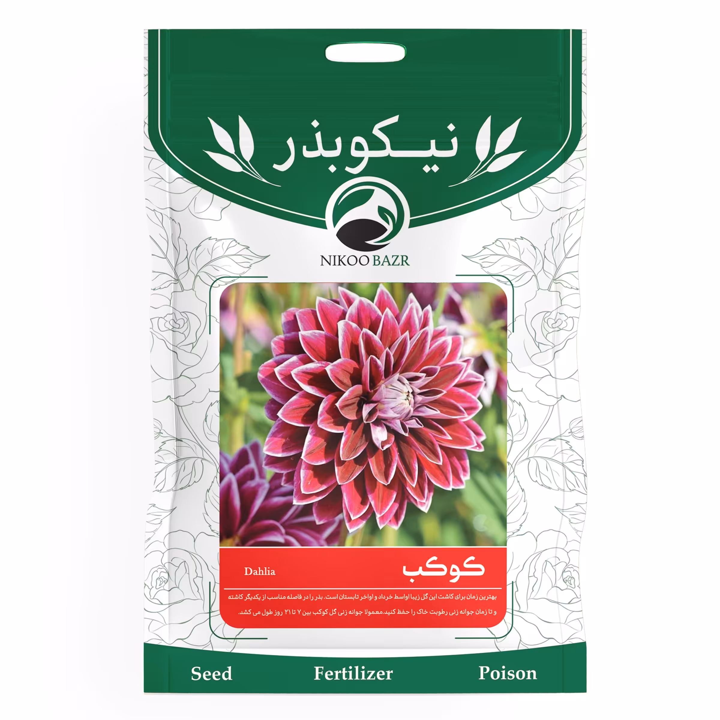 بذر گل کوکب نیکوبذر