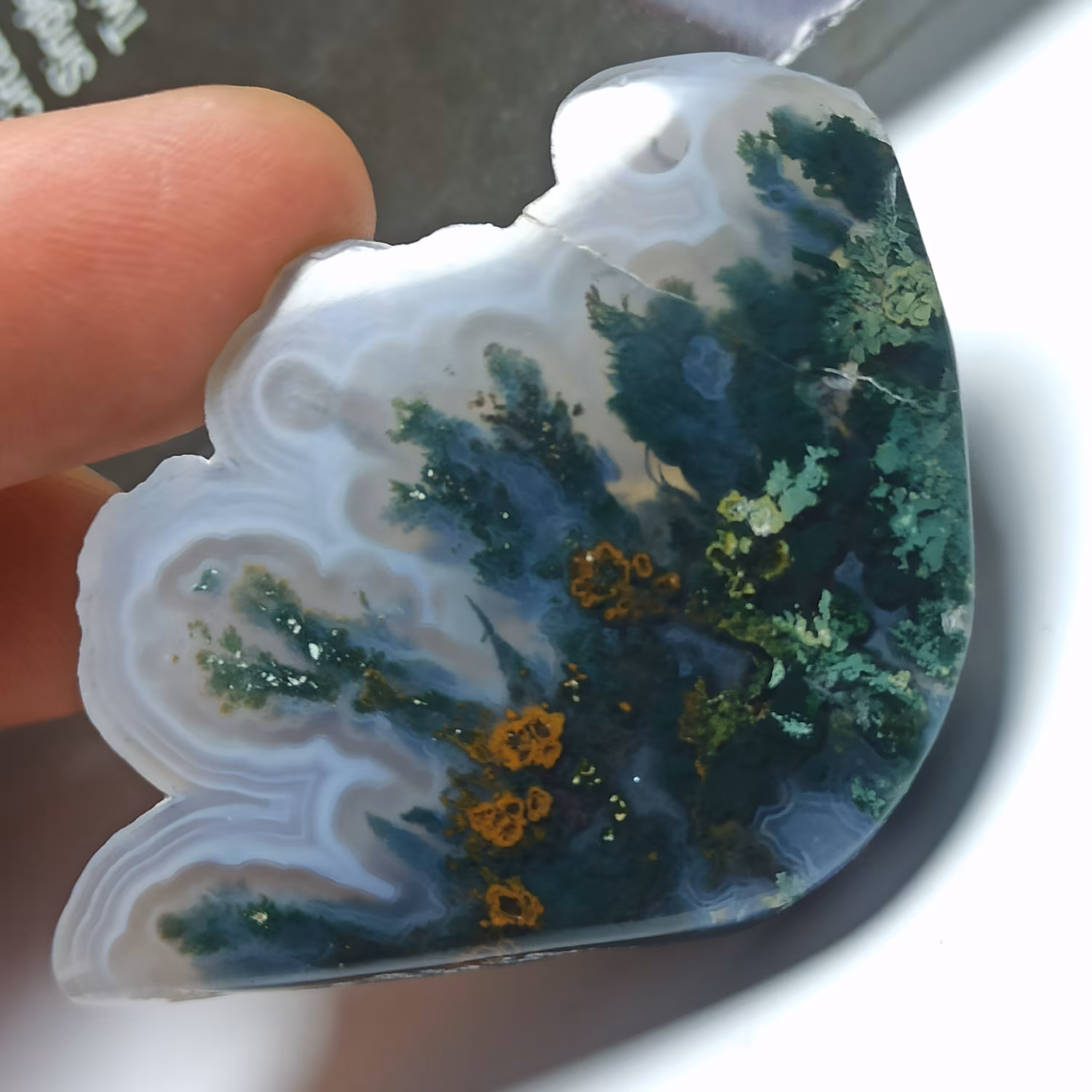 گوهر سنگ جلا و پولیش خورده‌ عقیق‌ شجر منظره سبز دریایی زیبا و خاص 