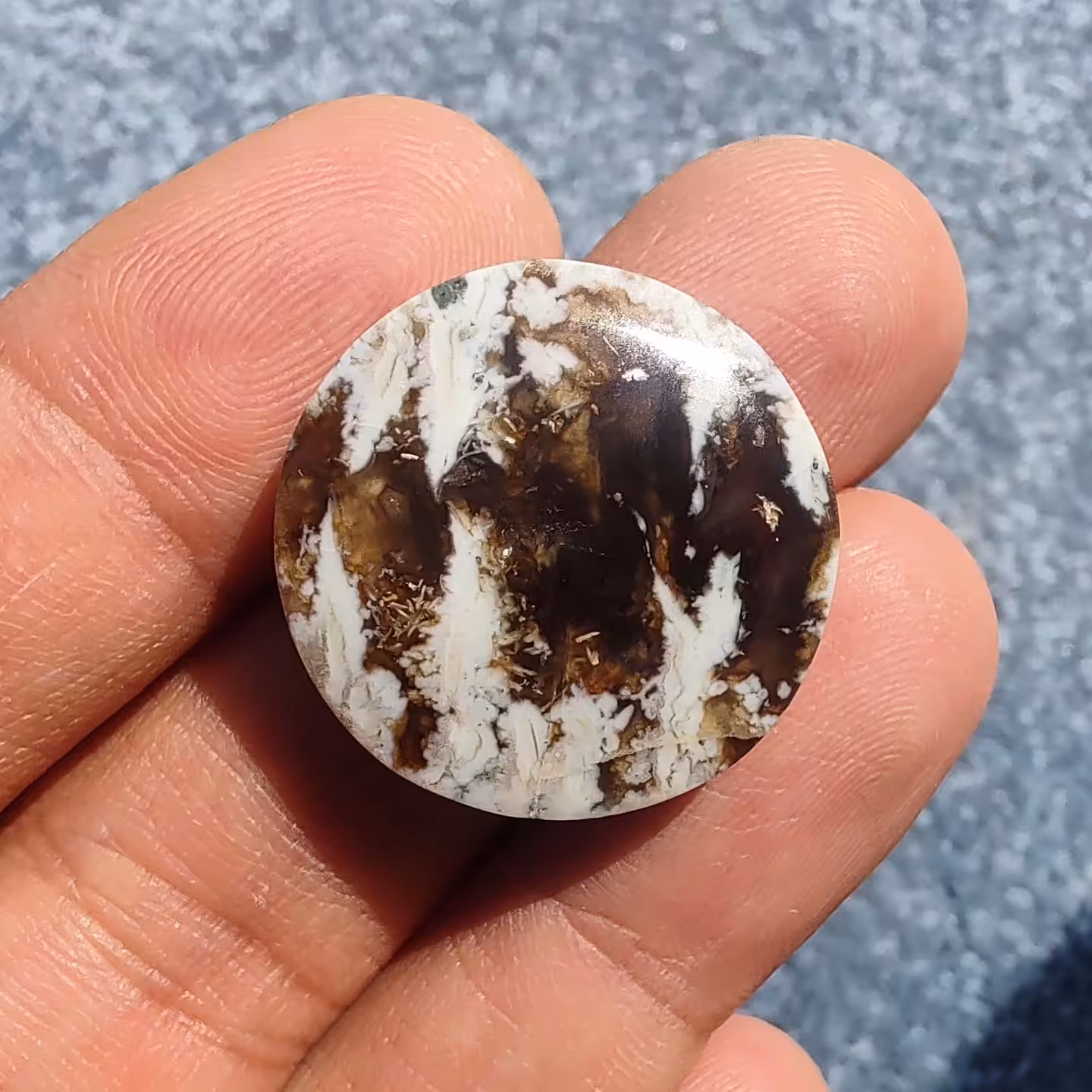 نگین عقیق شجر بلدرچینی