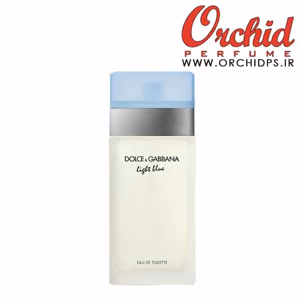 DOLCE &amp; GABBANA Light Blue for Women