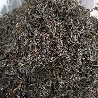 چای سنتی دستچین بهاره 1403