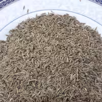 زیره سبز اعلا  یک کیلویی