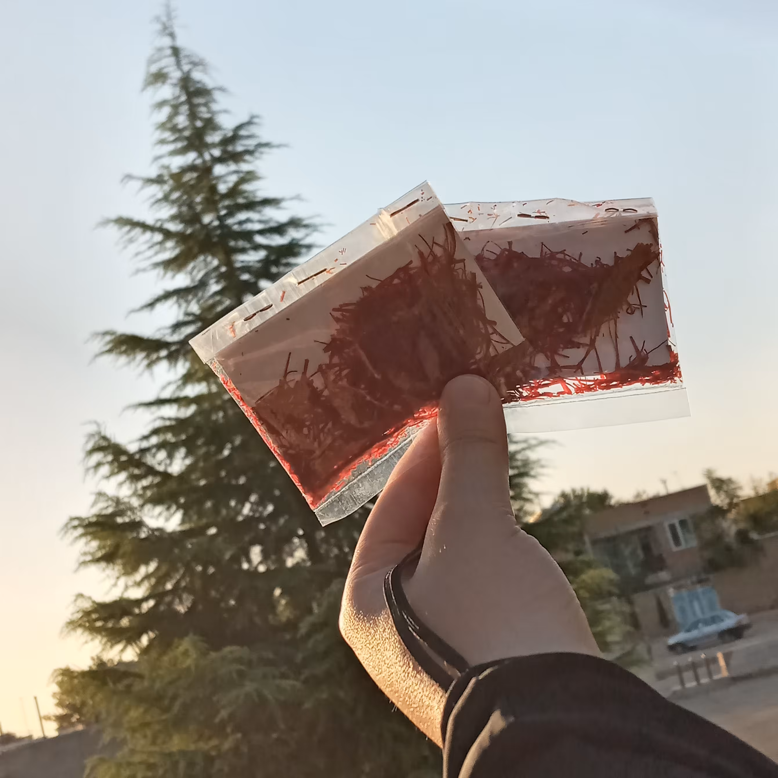 زعفران اصل و خوشبوی احمدآباد 