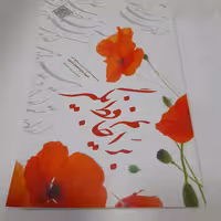 کتاب برایم حافظ بگیر،مجموعه خاطرات سردارمدافع حرم شهید حاج شعبان نصیری،به قلم زینب سوادچی،نشرشهیدکاظمی و من وکتاب 