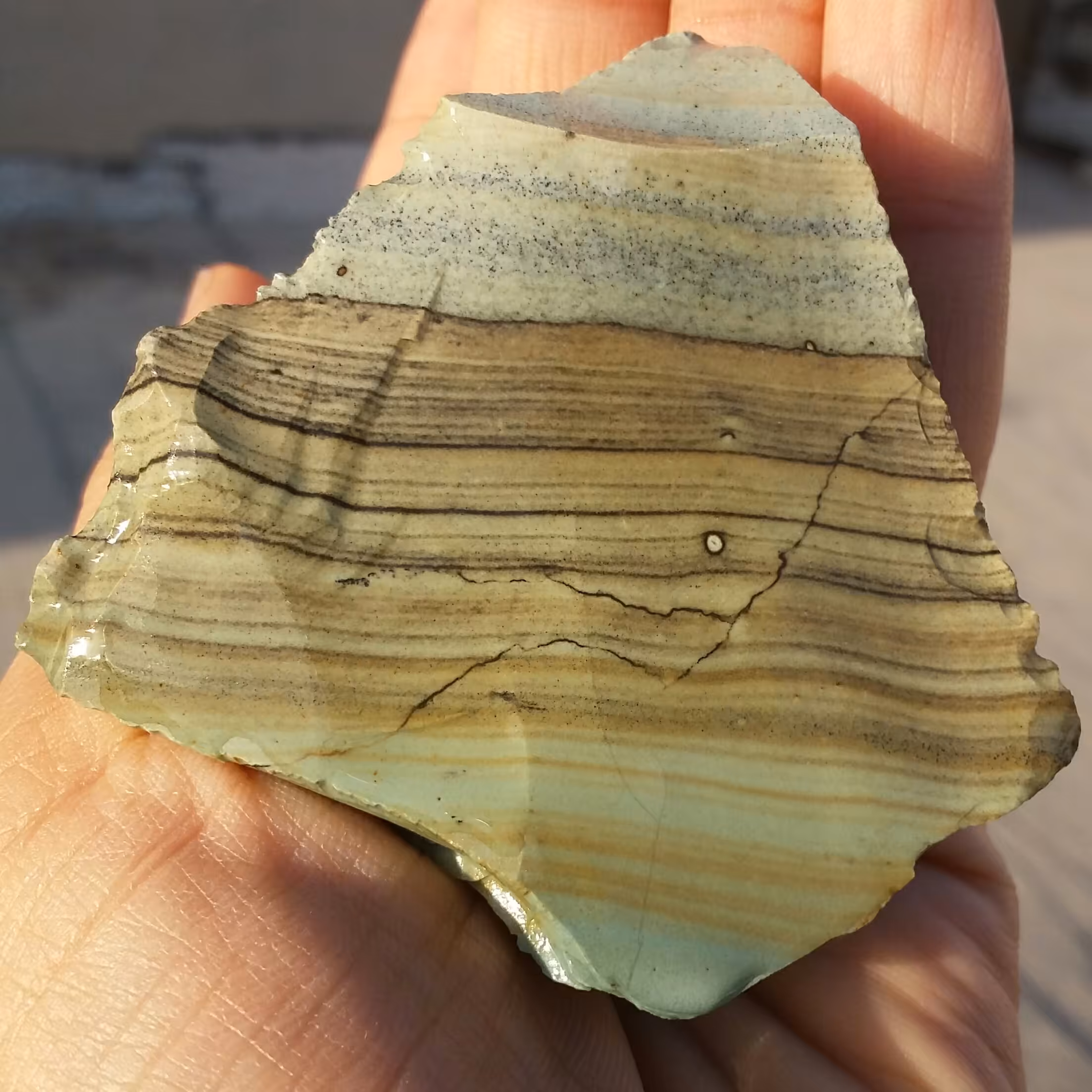 سنگ راف جاسپر منظره بسیار کمیاب زیبااا 100 در صد طبیعی شااهکار خلقت
تصویر از 3 طرف نمونه
با قابلیت ساخت چند نگین محشششر
