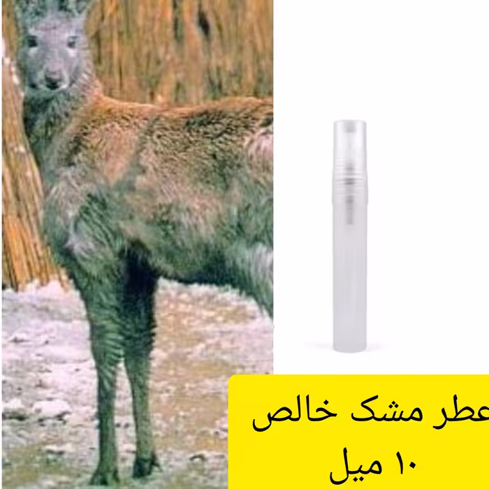 عطر مشک خالص 10 میل با کیفیت بالا و ماندگاری بالا