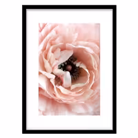 قیمت و خرید تابلو دکوراتیو مدل عکاسی نمای نزدک گل کد 1591