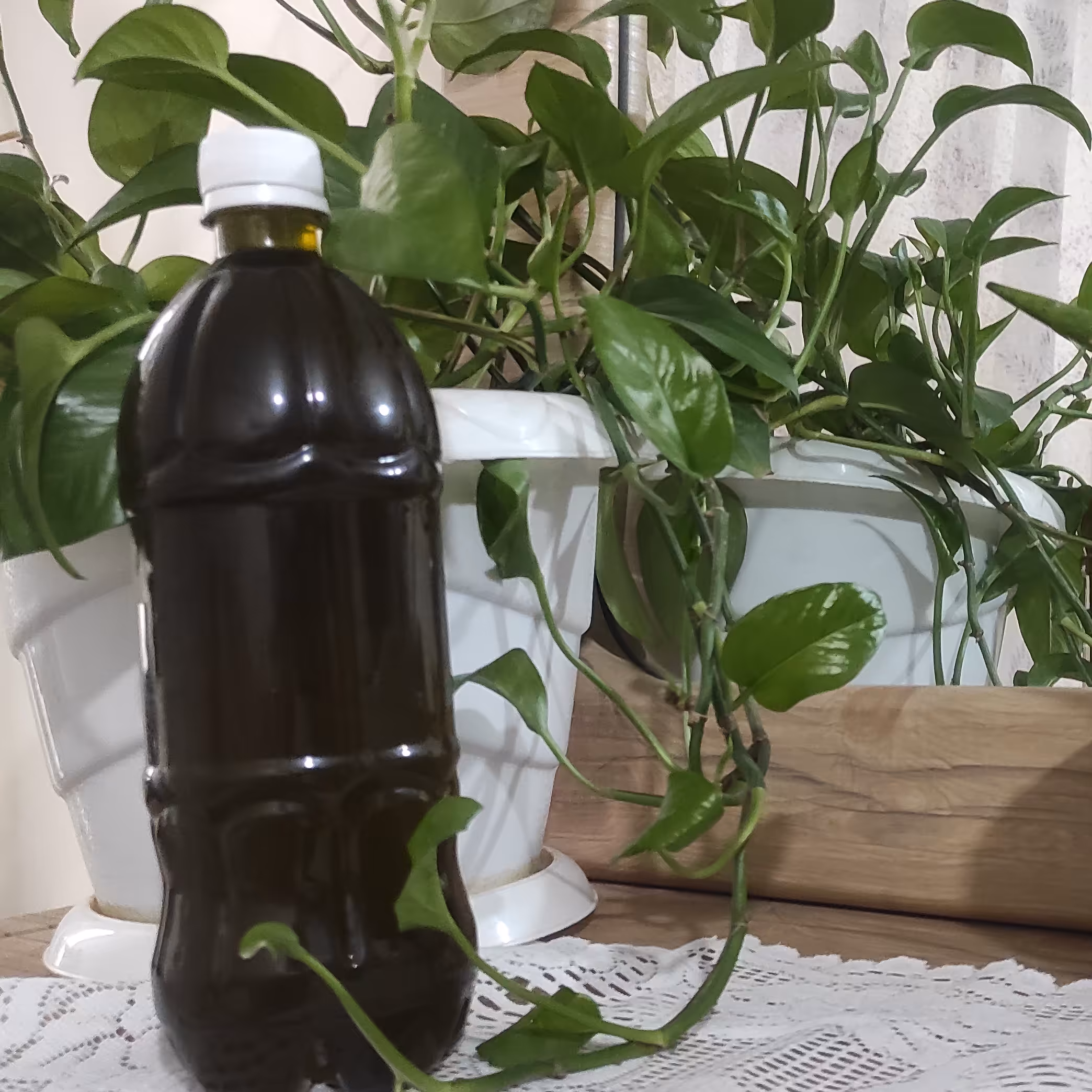 روغن زیتون فرا بکر ( نمونه رایگان)