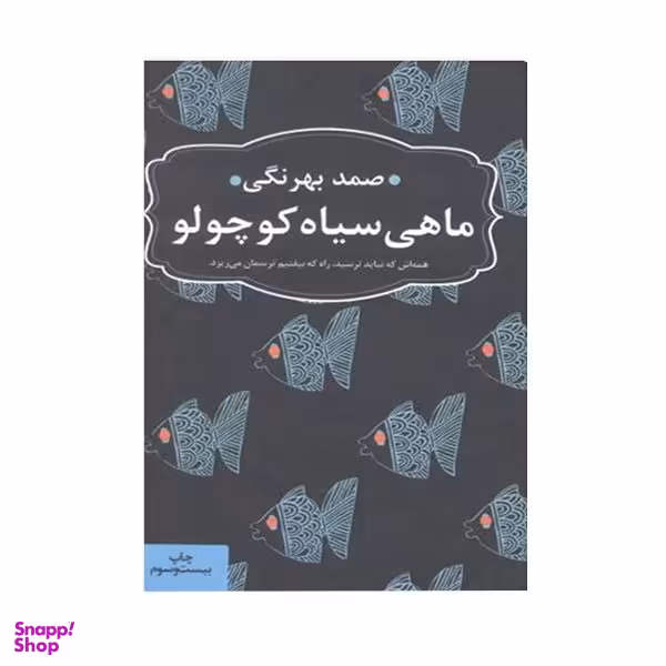 کتاب ماهی سیاه کوچولو اثر صمد بهرنگی انتشارات عطر کاج
