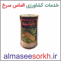 بذر خربزه (مشهدی) خاتونی داناب نیم کیلویی | گیاه پزشکی الماس سرخ
