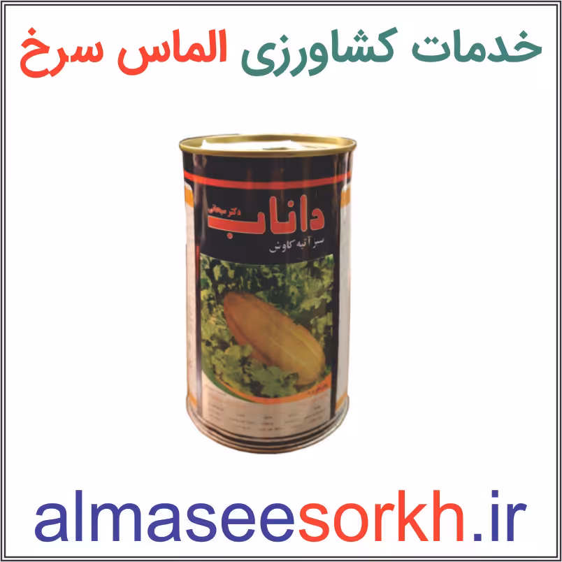 بذر خربزه (مشهدی) خاتونی داناب نیم کیلویی | گیاه پزشکی الماس سرخ