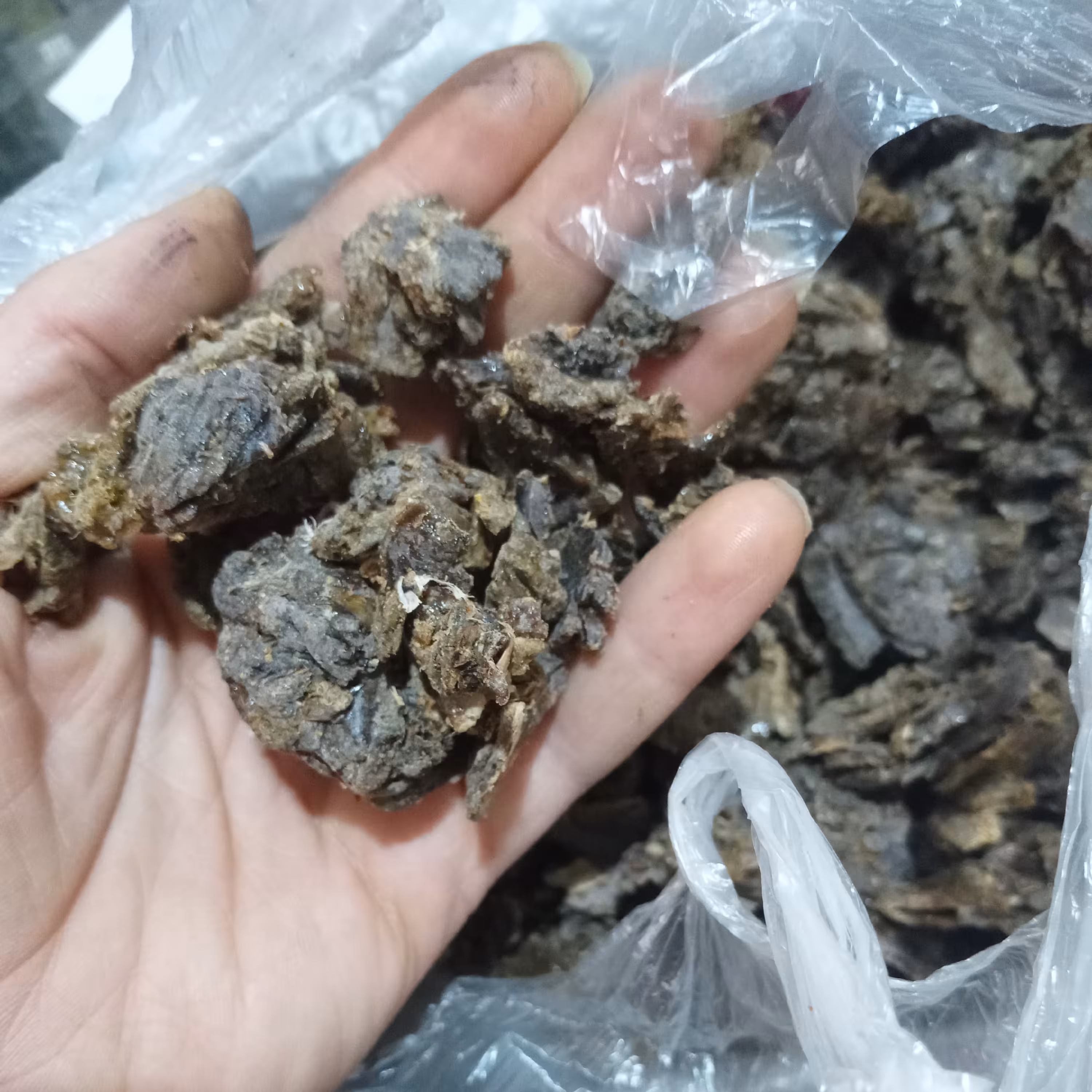 بره موم اصل کاملا طبیعی زنبور اصل100گرمی