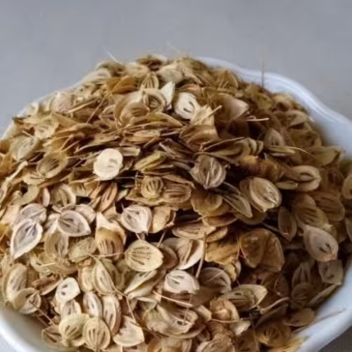 گلپر  تازه و درجه یک(250 گرم)