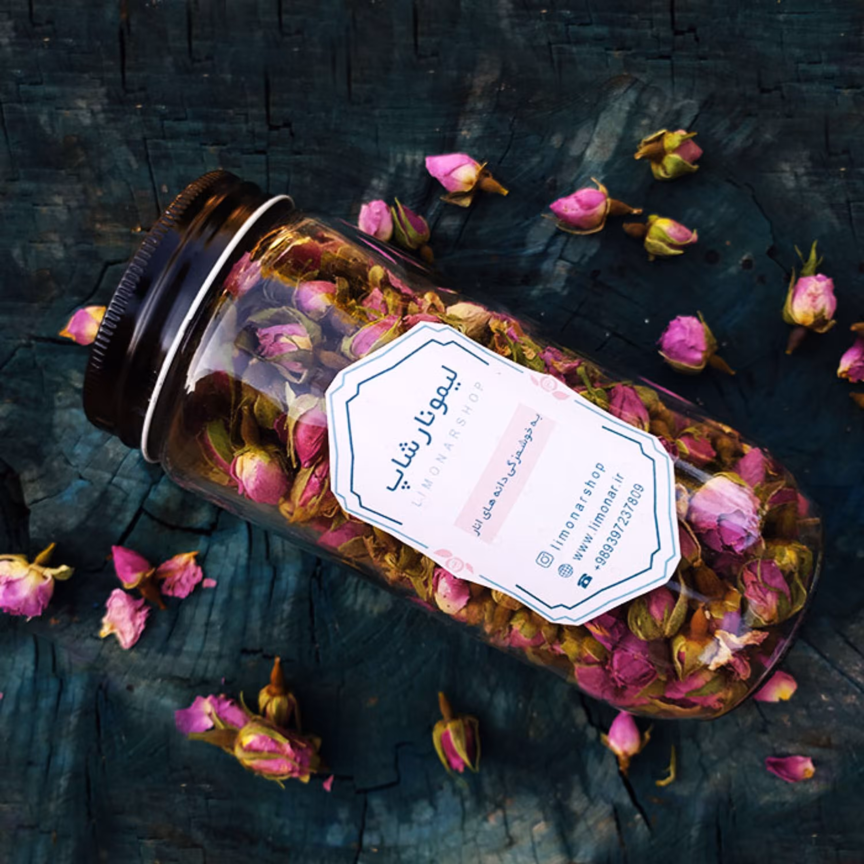 غنچه گل محمدی