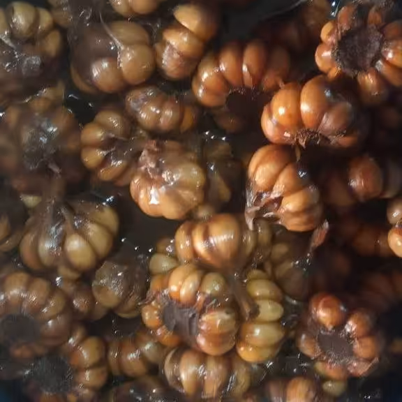 سیرترشی  درجه 1 خانگی  10کیلویی؛ ارسال با اتوبوس(هزینه ارسال به عهده مشتری)