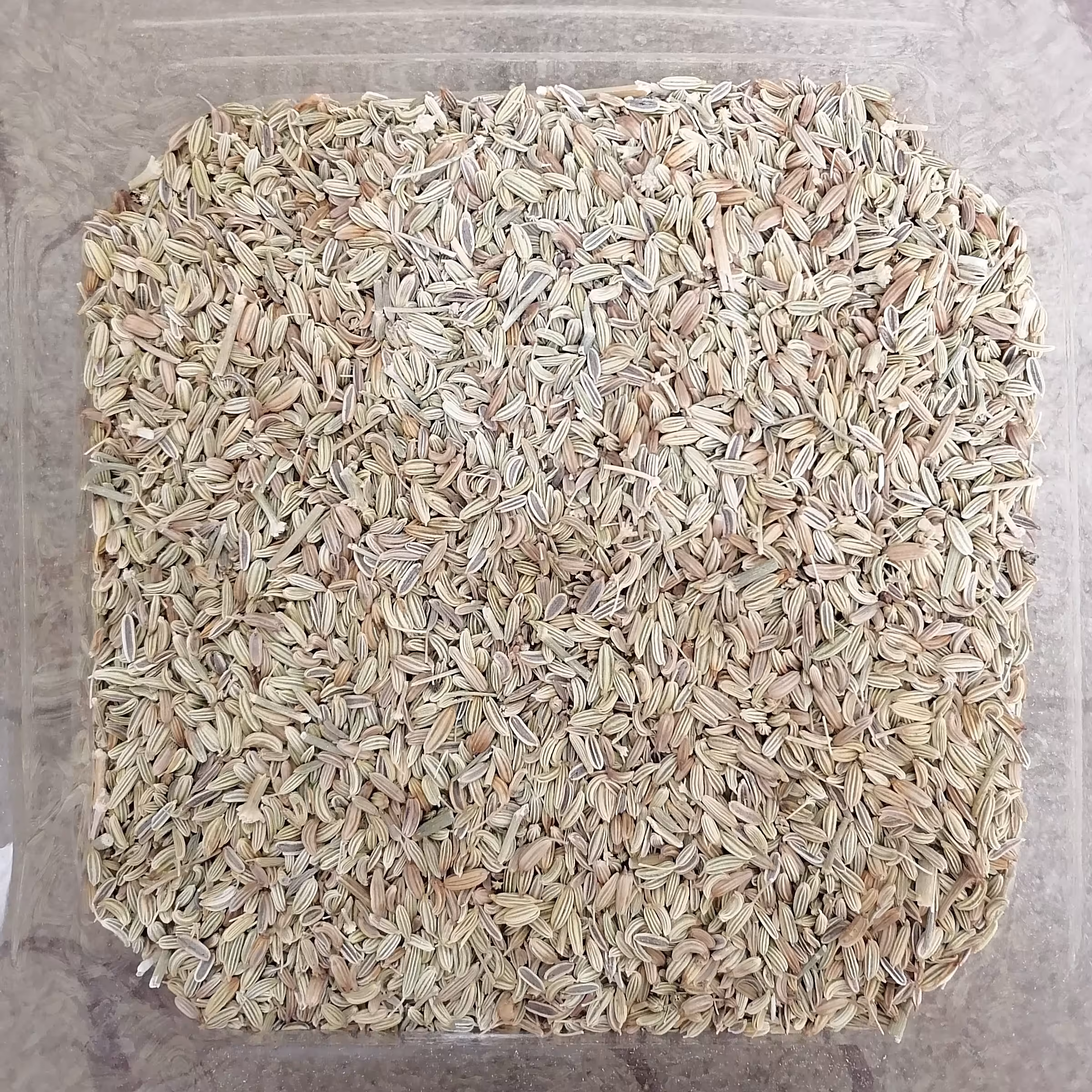 رازیانه 200 گرمی