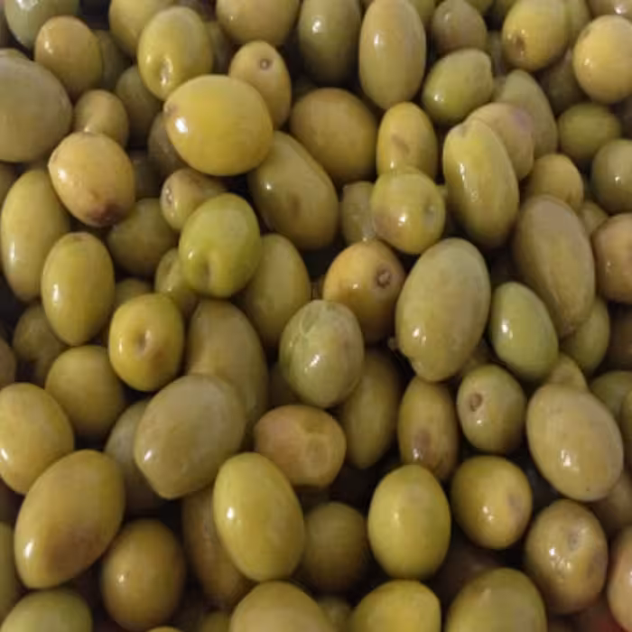 وکیوم زیتون کنسروی جنگلی 400گرمی