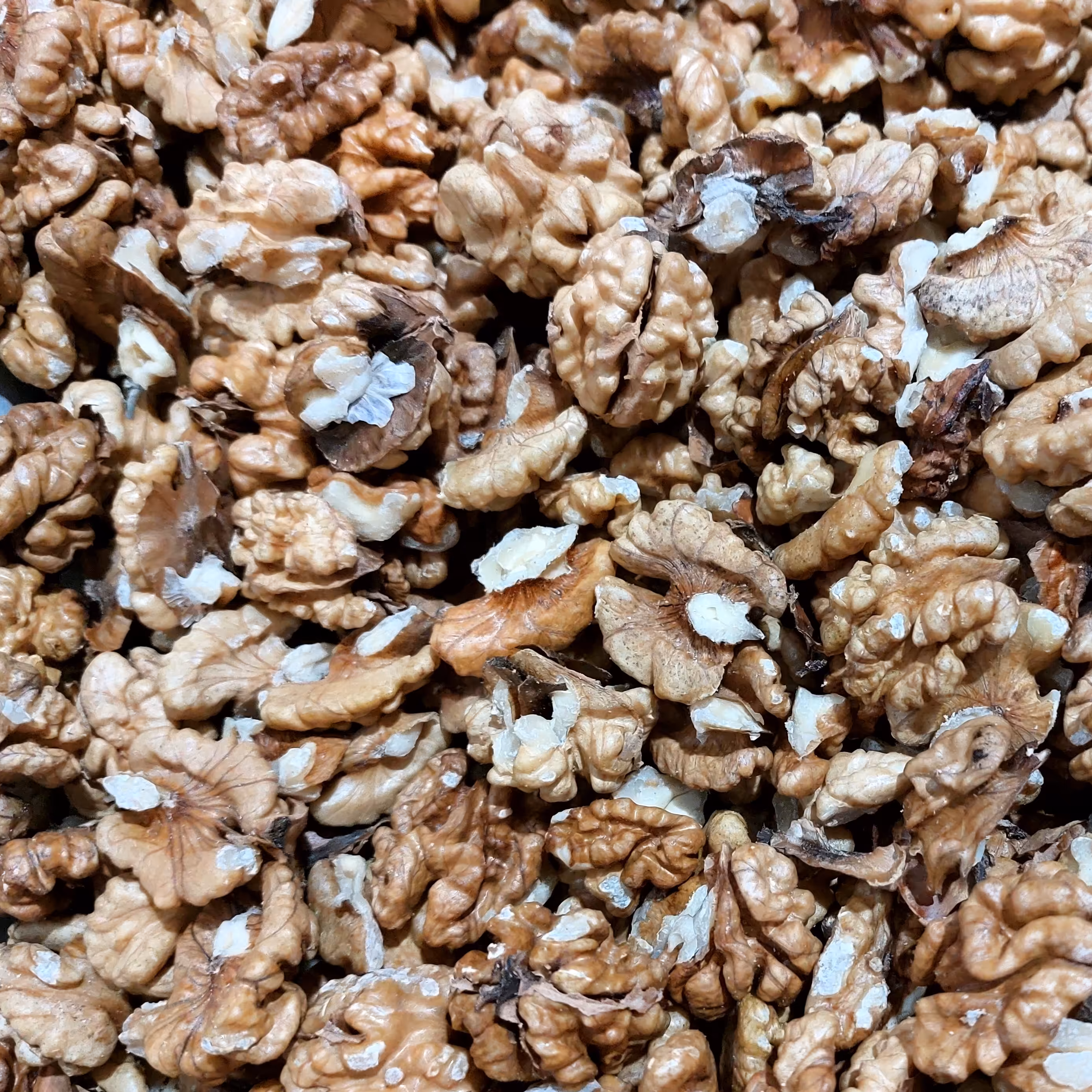 مغز گردو اعلاء و درجه یک ایرانی بسته 250گرمی