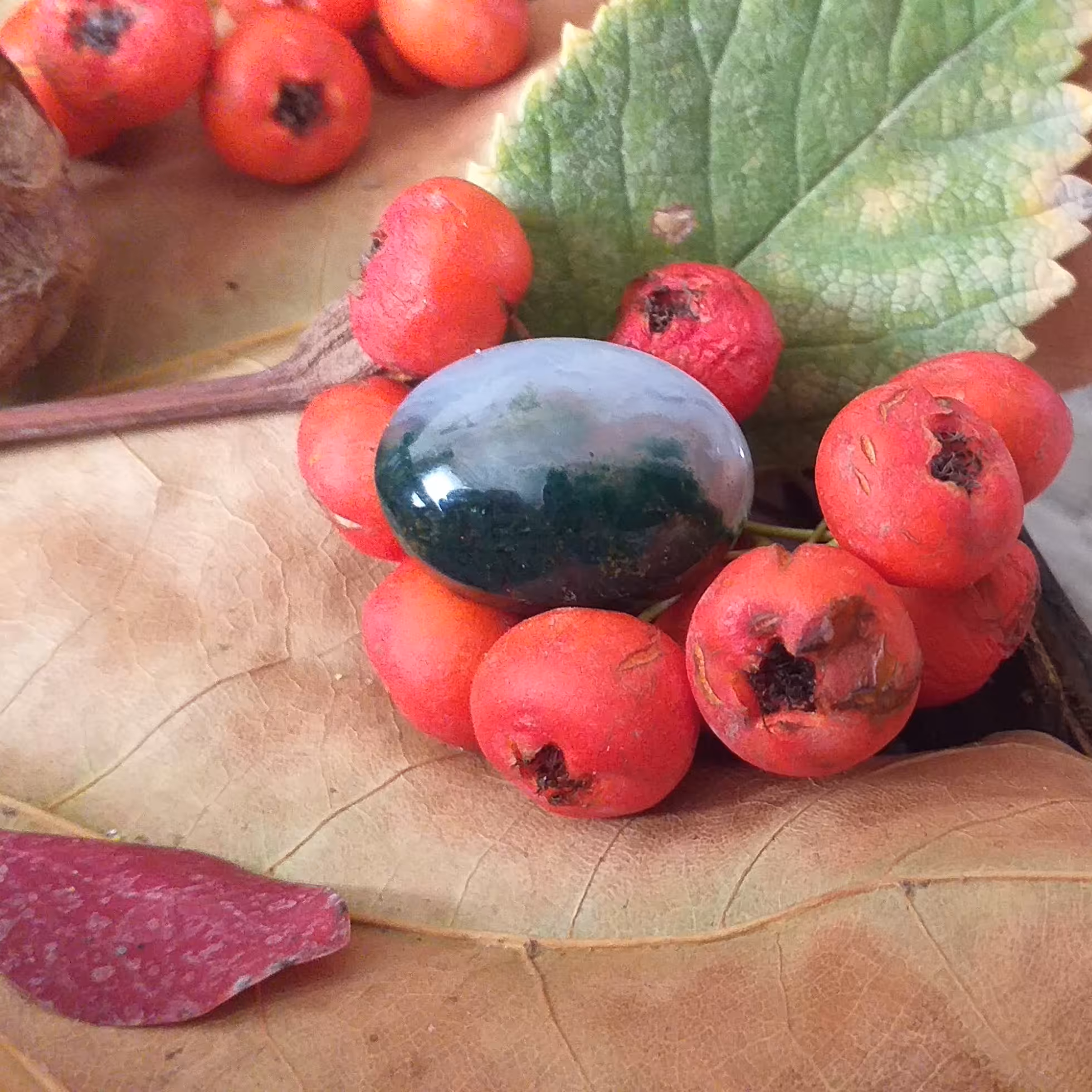 نگین عقیق شجر منظره انگشتری