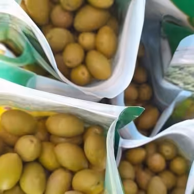 زیتون شور شمال درجه یک تازه کیفیت خیلی عالی 