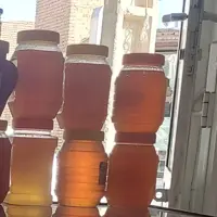 عسل طبیعی خالص  شهد گون 