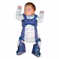 پاولیک هارنس 5241 تن یار