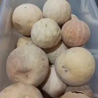 هندوانه ابوجهل خشک درجه یک اعلاء 75 گرم 5 ستاره صدرا
