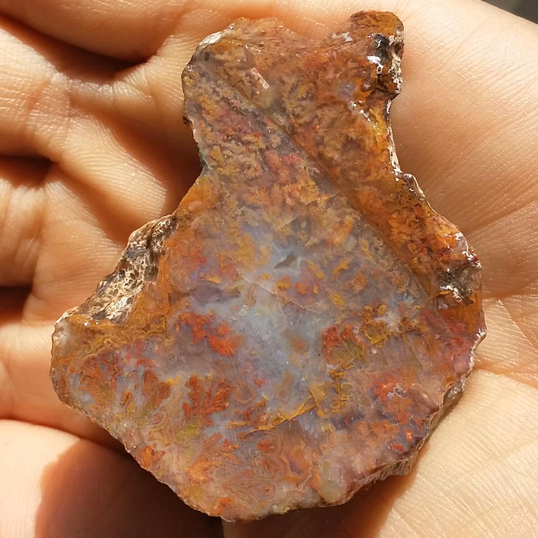 اسلایس سنگ راف عقیق شجر شکوفه 7رنگ کمیاب محشررر کاملا طبیعی
تابلو نقاشی طبیعی
بی نظیر شاهکار خلقت خاااص 