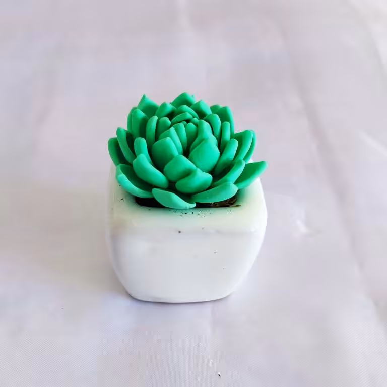 گل کاکتوس خمیر ایتالیایی طرح ساکولنت اچوریا