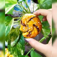 کلوچه خرمایی (500گرمی)