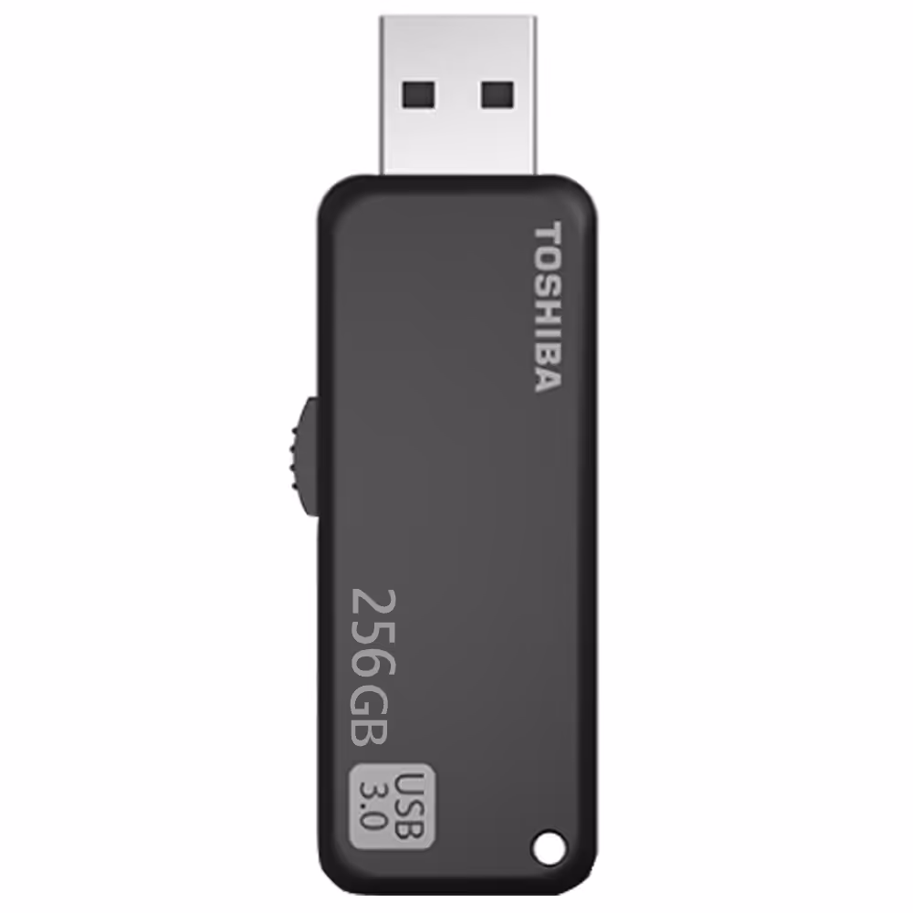 فلش مموری توشیبا U365 256GB